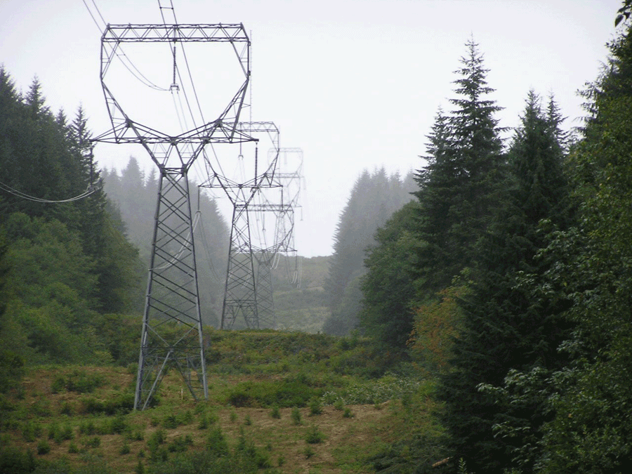 Transmission line